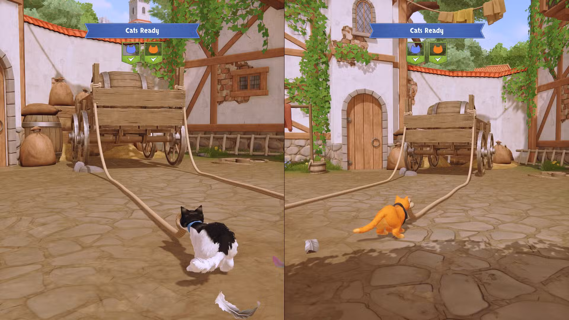 the-missing-tail-splitscreen-rope