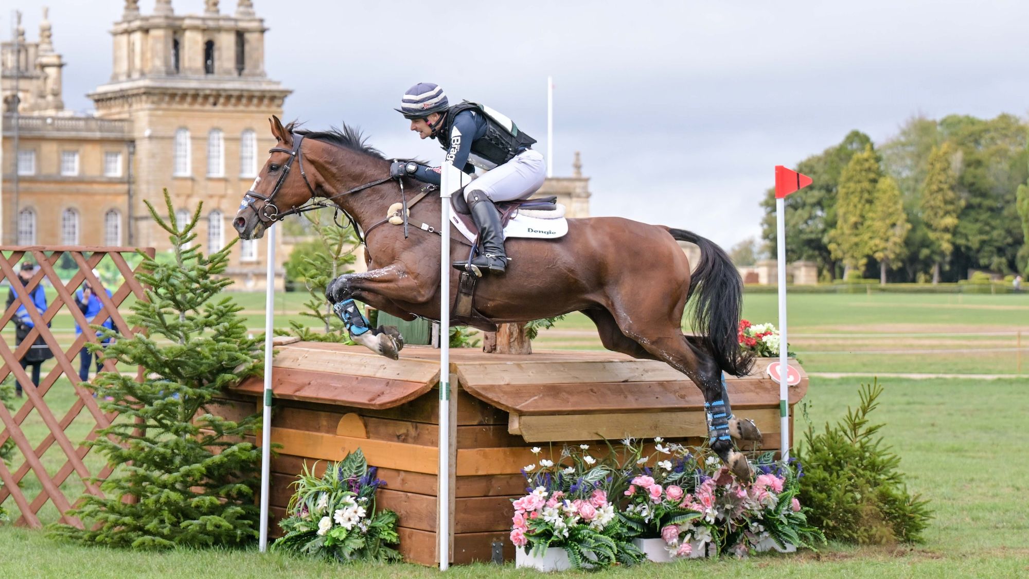 Blenheim finali öncesi iki çekilme, 50 at kontrolden geçti