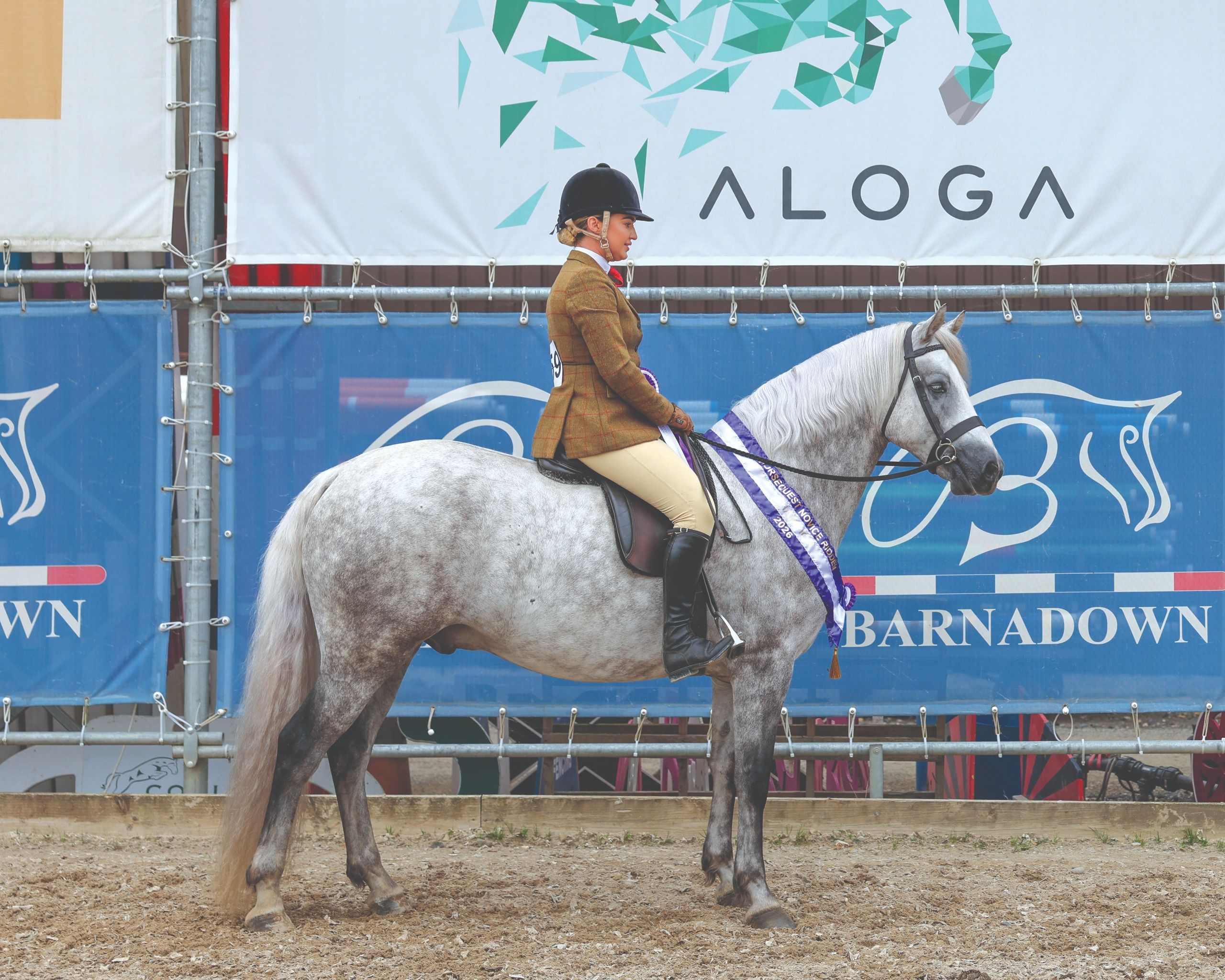 Connemara Şampiyonası’nda Ballylee Lemon ve Chloe Lacey zirvede