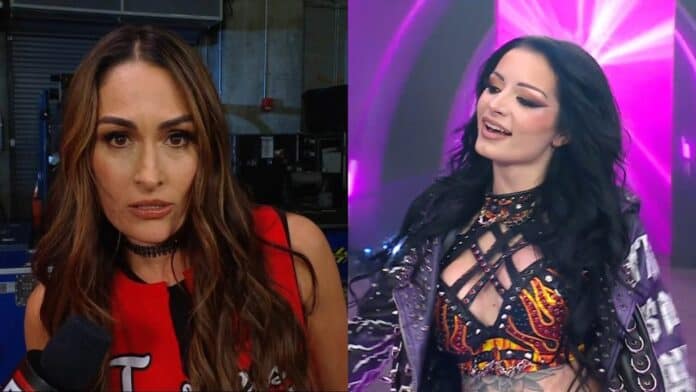 nikki bella paige nikki bella paige WWE
