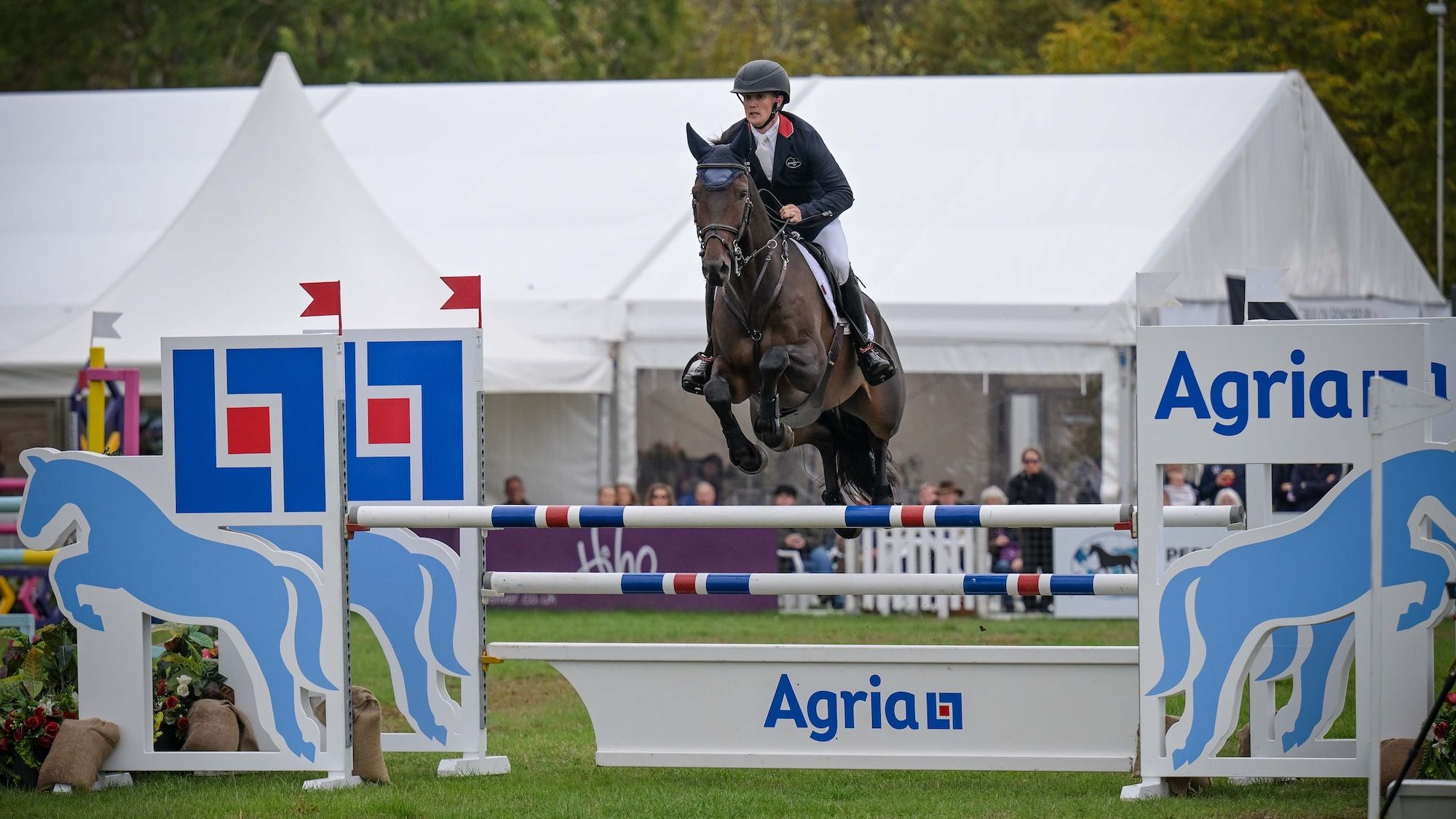 Tom McEwen, Blenheim Atlı Sporları Yarışları’nda zirveye döndü