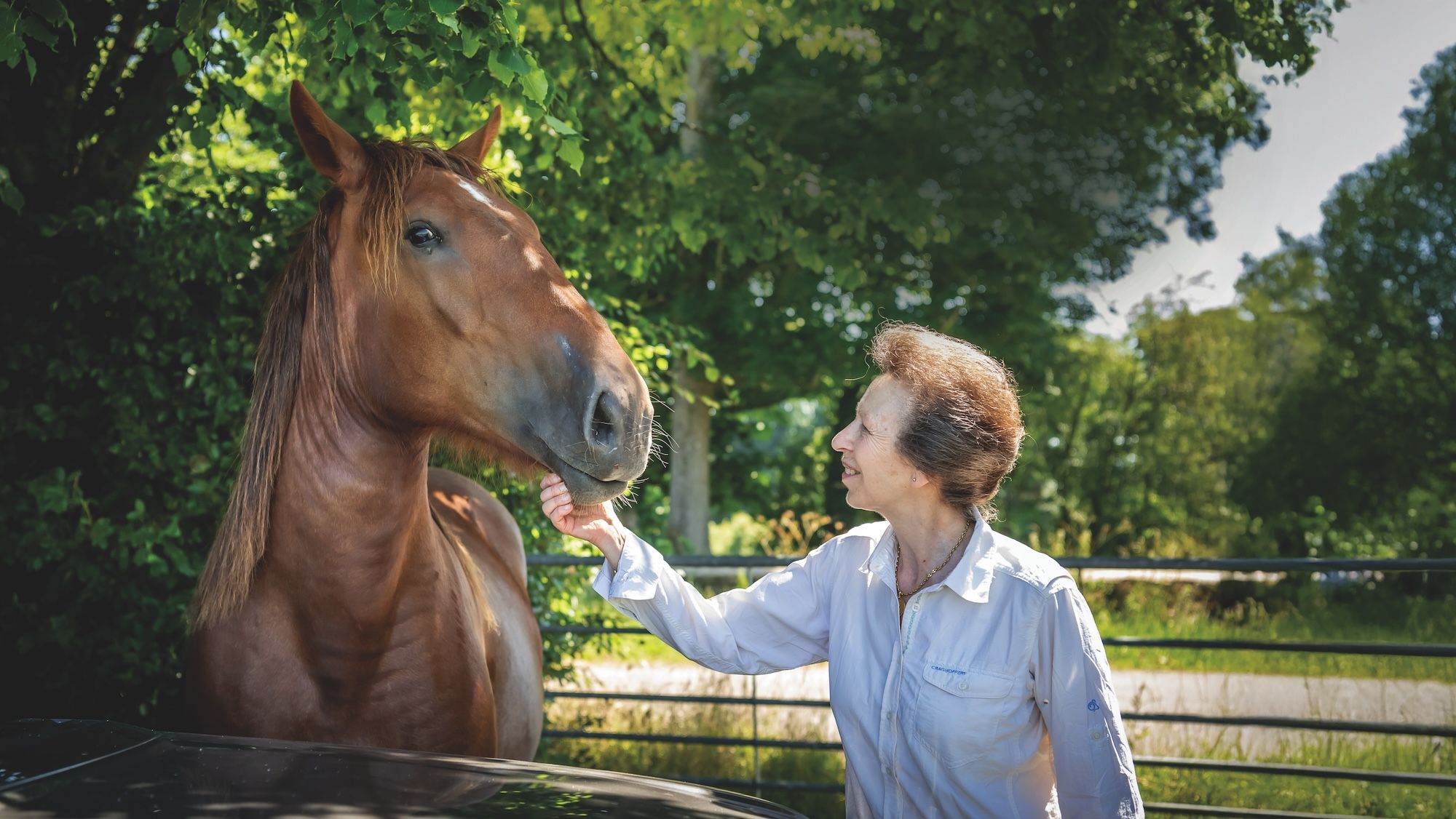 Suffolk atları: Prenses Anne’nin Gatcombe Park tutkusu